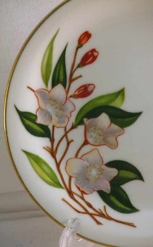 The colors give this dinnerware lots of scope to use this china as part of a